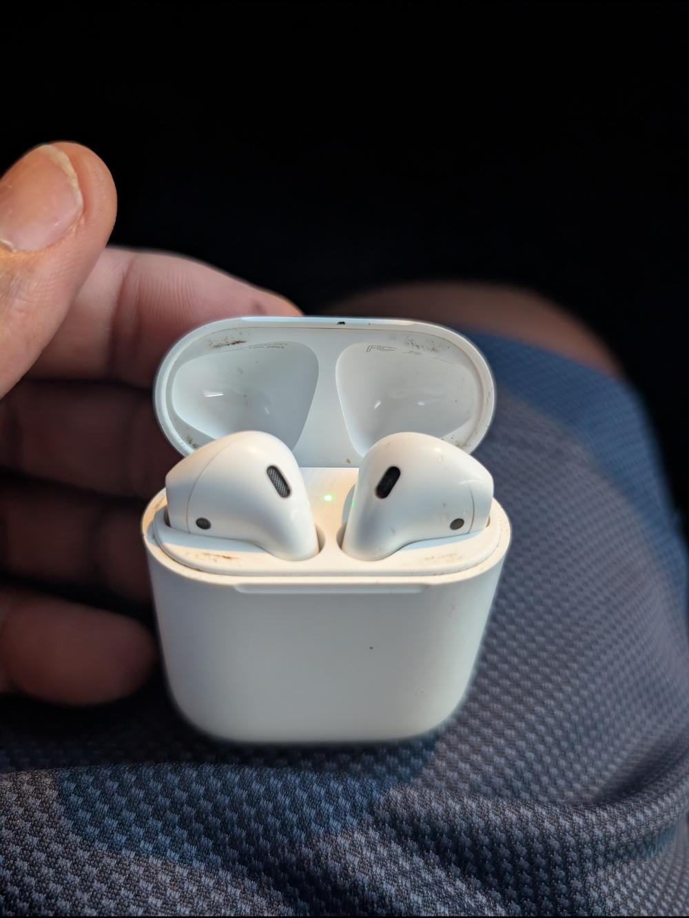 Apple XL Wireless Earbuds